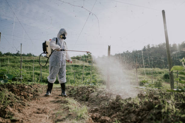 Best Wildlife Control Services  in Waldpt, OR