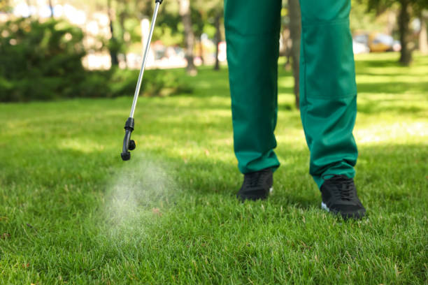 Best Local Pest Control Services  in Waldpt, OR