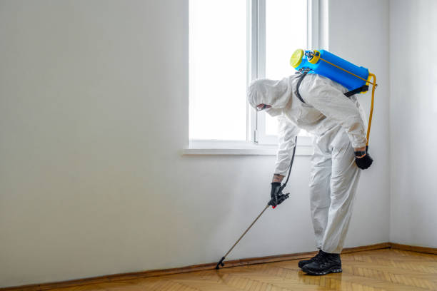 Pest Control for Restaurants in Waldport, OR